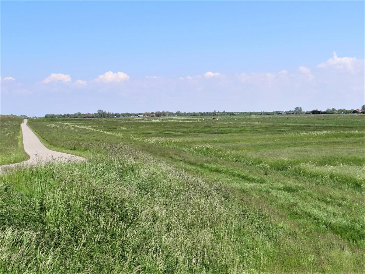 Vakantiewoning Grevelingen Villa Scharendijke Kültér fotó